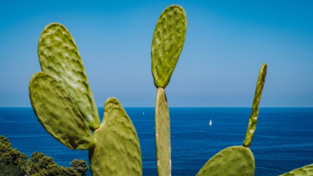 Villa Zabbara Capo Zafferano Bagheria Eksteriør billede